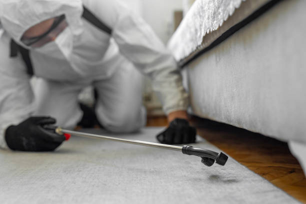 Professional Pest Control technician working in Frederick, MD