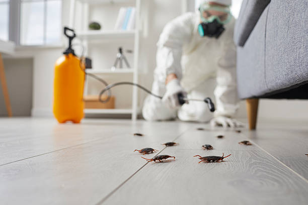 Affordable Pest Control solutions in Frederick, MD